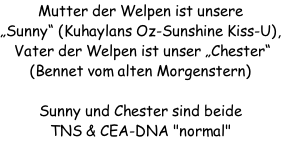 Mutter der Welpen ist unsere „Sunny“ (Kuhaylans Oz-Sunshine Kiss-U),  Vater der Welpen ist unser „Chester“ (Bennet vom alten Morgenstern)  Sunny und Chester sind beide  TNS & CEA-DNA "normal"