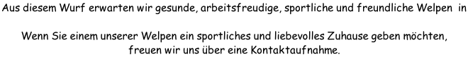 Aus diesem Wurf erwarten wir gesunde, arbeitsfreudige, sportliche und freundliche Welpen  in  sw und rot!  Wenn Sie einem unserer Welpen ein sportliches und liebevolles Zuhause geben möchten,  freuen wir uns über eine Kontaktaufnahme.